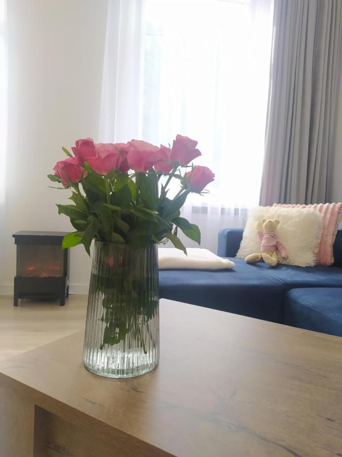 Apartament Fanaberia Ladek Zdroj Экстерьер фото